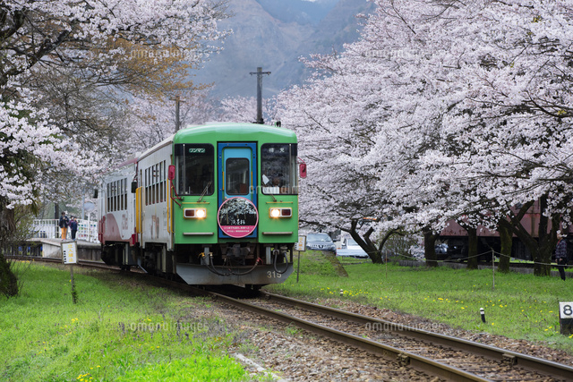 桜と電車
(c)NOBUAKI SUMIDA/SEBUN PHOTO