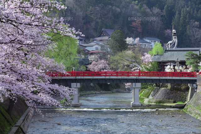 桜と中橋
(c)NOBUAKI SUMIDA/SEBUN PHOTO