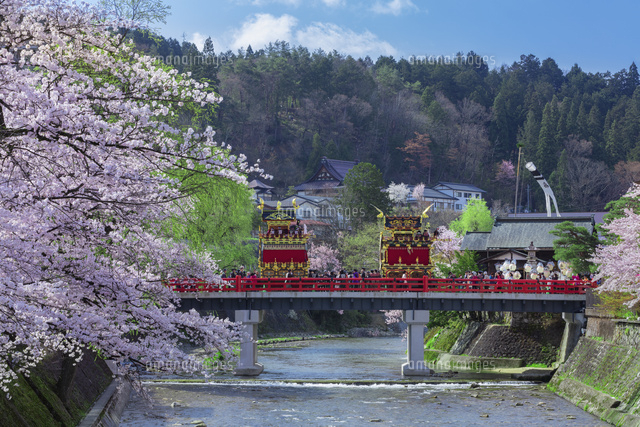 春の高山祭
(c)NOBUAKI SUMIDA/SEBUN PHOTO