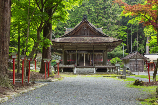 春の日吉大社
(c)NOBUAKI SUMIDA/SEBUN PHOTO