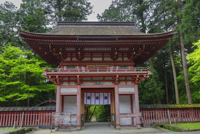 春の日吉大社
(c)NOBUAKI SUMIDA/SEBUN PHOTO
