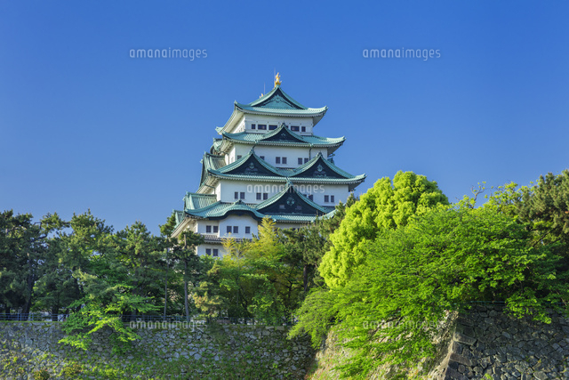 新緑の名古屋城
(c)NOBUAKI SUMIDA/SEBUN PHOTO