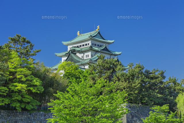 新緑の名古屋城
(c)NOBUAKI SUMIDA/SEBUN PHOTO