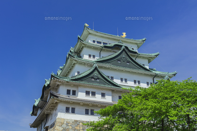 新緑の名古屋城
(c)NOBUAKI SUMIDA/SEBUN PHOTO