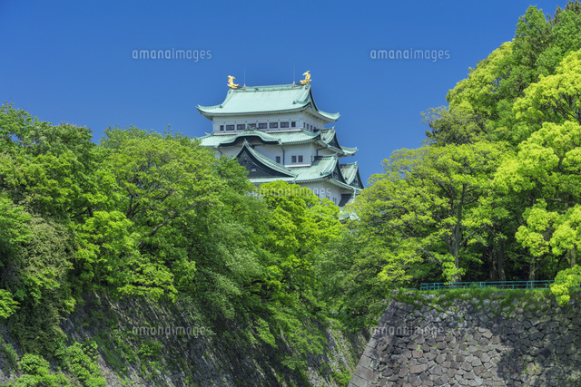 新緑の名古屋城
(c)NOBUAKI SUMIDA/SEBUN PHOTO