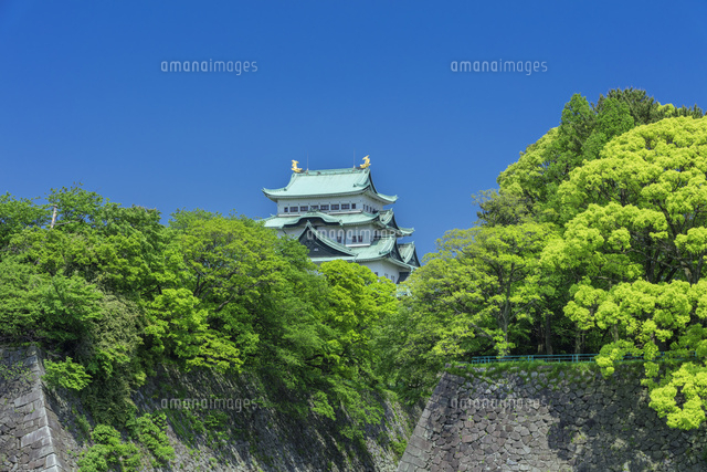新緑の名古屋城
(c)NOBUAKI SUMIDA/SEBUN PHOTO