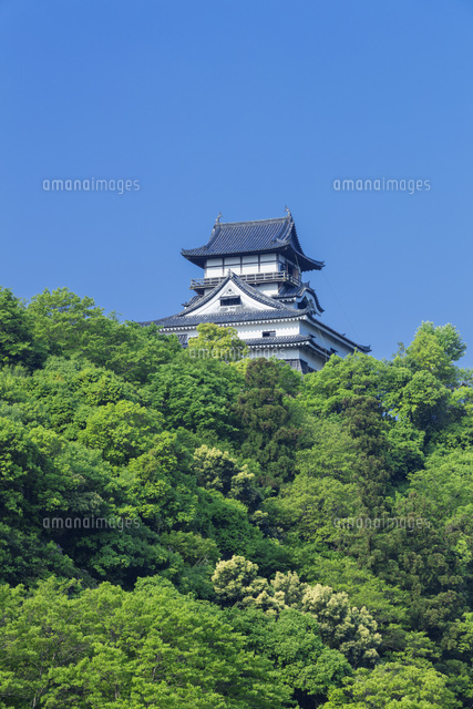 新緑の犬山城
(c)NOBUAKI SUMIDA/SEBUN PHOTO