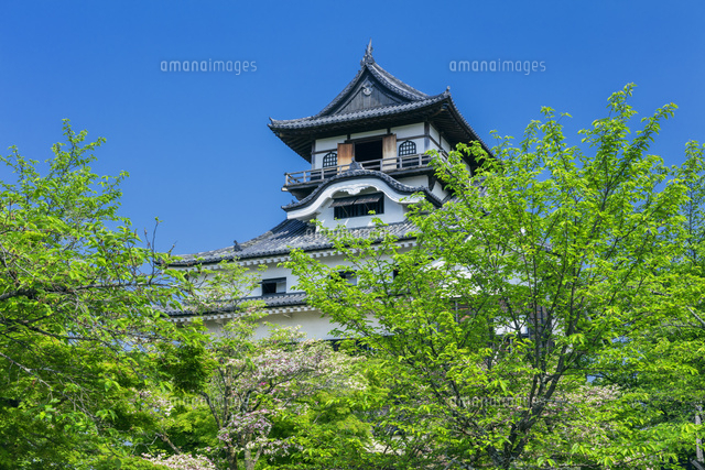 新緑の犬山城
(c)NOBUAKI SUMIDA/SEBUN PHOTO