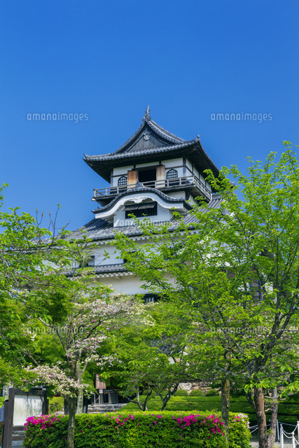 新緑の犬山城
(c)NOBUAKI SUMIDA/SEBUN PHOTO