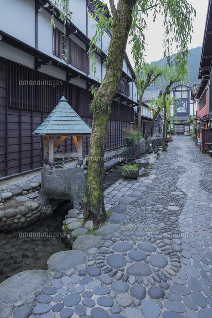 新緑のやなか水のこみち
(c)NOBUAKI SUMIDA/SEBUN PHOTO