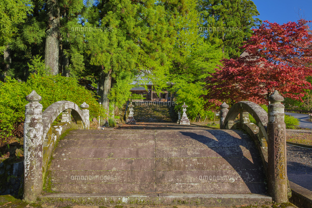 新緑の長瀧白山神社の参道
(c)NOBUAKI SUMIDA/SEBUN PHOTO