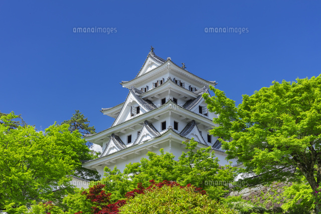 新緑の郡上八幡城
(c)NOBUAKI SUMIDA/SEBUN PHOTO