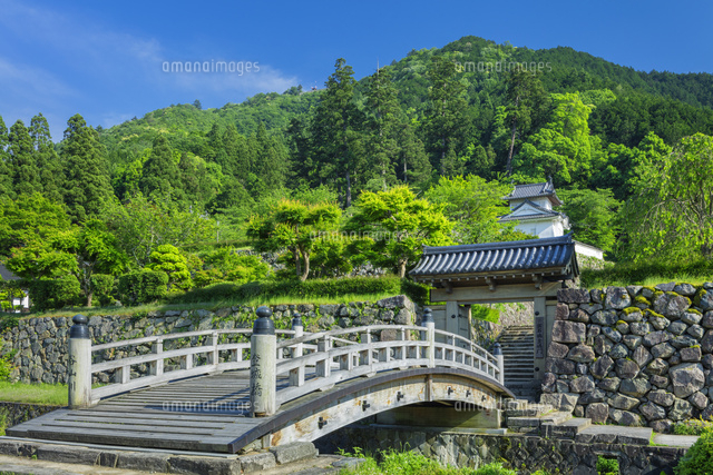新緑の出石城跡
(c)NOBUAKI SUMIDA/SEBUN PHOTO