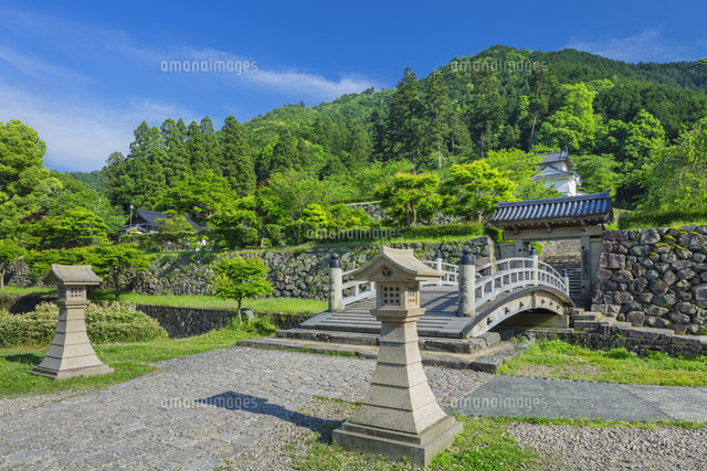 新緑の出石城跡
(c)NOBUAKI SUMIDA/SEBUN PHOTO