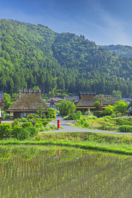 新緑の美山かやぶきの里
(c)NOBUAKI SUMIDA/SEBUN PHOTO