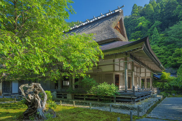 新緑の常照皇寺
(c)NOBUAKI SUMIDA/SEBUN PHOTO