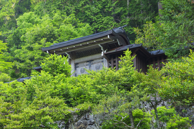 光厳天皇山国陵
(c)NOBUAKI SUMIDA/SEBUN PHOTO