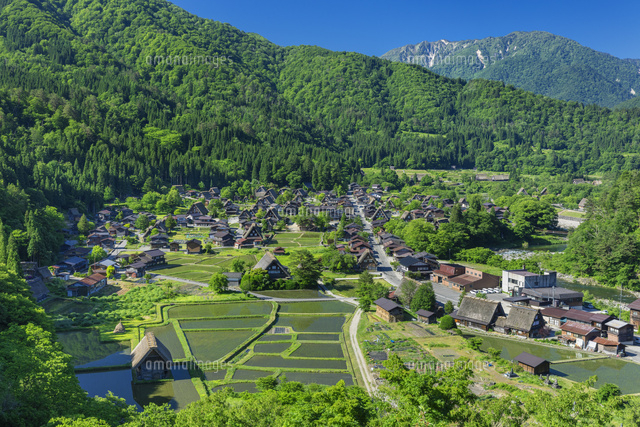 新緑の白川郷合掌造り集落
(c)NOBUAKI SUMIDA/SEBUN PHOTO