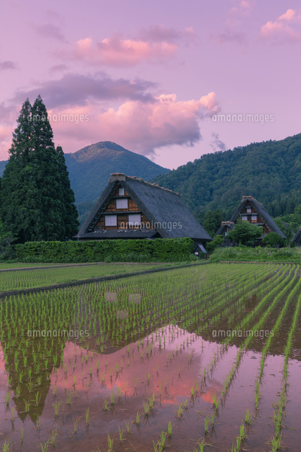 白川郷合掌造りの夕景
(c)NOBUAKI SUMIDA/SEBUN PHOTO