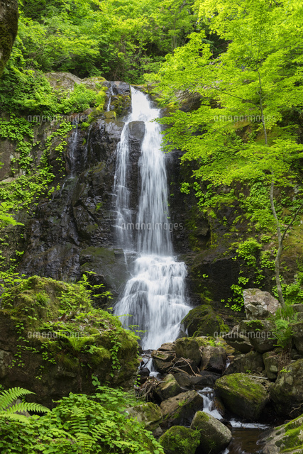 新緑の宇津江四十八滝
(c)NOBUAKI SUMIDA/SEBUN PHOTO