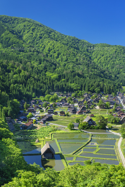 新緑の白川郷合掌造り集落
(c)NOBUAKI SUMIDA/SEBUN PHOTO