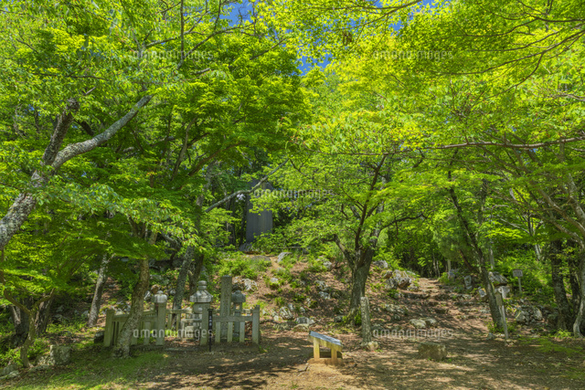 新緑の小谷城跡
(c)NOBUAKI SUMIDA/SEBUN PHOTO