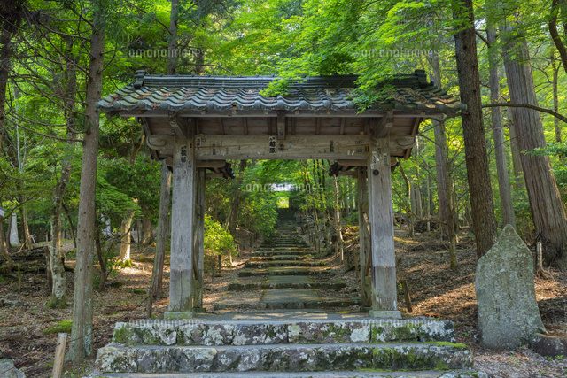 新緑の常照皇寺山門
(c)NOBUAKI SUMIDA/SEBUN PHOTO