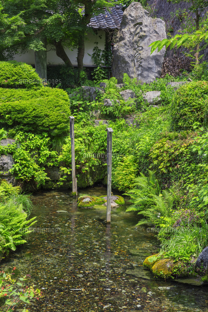 居醒の清水
(c)NOBUAKI SUMIDA/SEBUN PHOTO