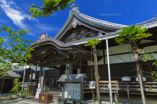 村雲御所 瑞龍寺門跡
(c)NOBUAKI SUMIDA/SEBUN PHOTO