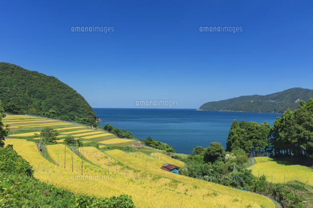 田烏(タガラス)の棚田
(c)NOBUAKI SUMIDA/SEBUN PHOTO