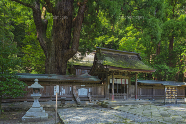 若狭姫神社
(c)NOBUAKI SUMIDA/SEBUN PHOTO
