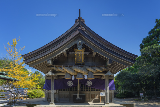 秋の白兎神社
(c)NOBUAKI SUMIDA/SEBUN PHOTO