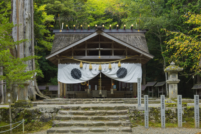 秋の元伊勢神宮
(c)NOBUAKI SUMIDA/SEBUN PHOTO