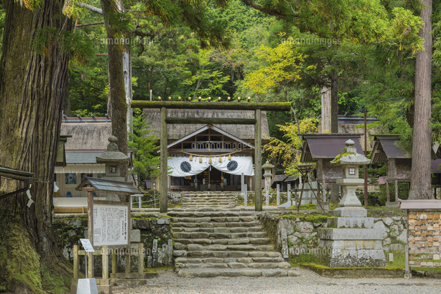 秋の元伊勢神宮
(c)NOBUAKI SUMIDA/SEBUN PHOTO