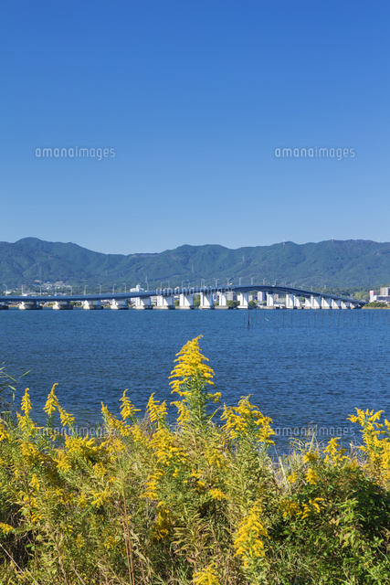 秋の琵琶湖大橋
(c)NOBUAKI SUMIDA/SEBUN PHOTO