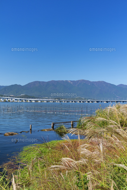 秋の琵琶湖大橋と比良山
(c)NOBUAKI SUMIDA/SEBUN PHOTO
