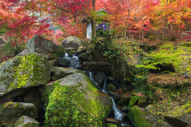 紅葉の三郎の滝
(c)NOBUAKI SUMIDA/SEBUN PHOTO