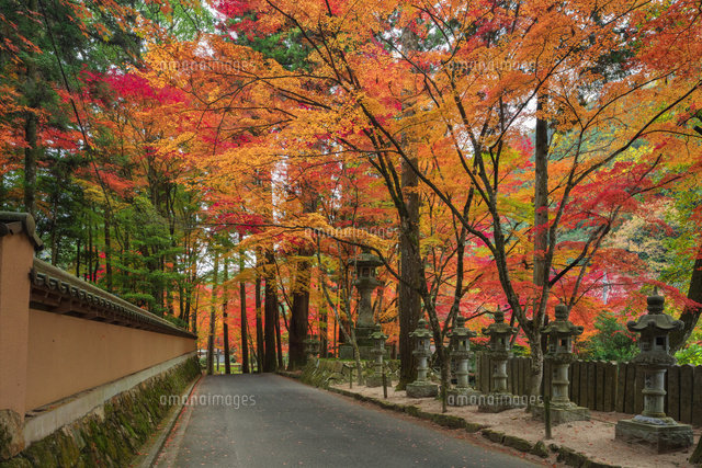 紅葉の佛通寺参道
(c)NOBUAKI SUMIDA/SEBUN PHOTO