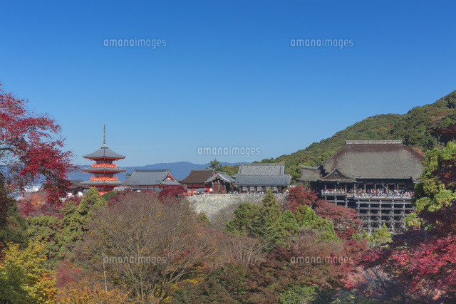 秋の清水寺
(c)NOBUAKI SUMIDA/SEBUN PHOTO
