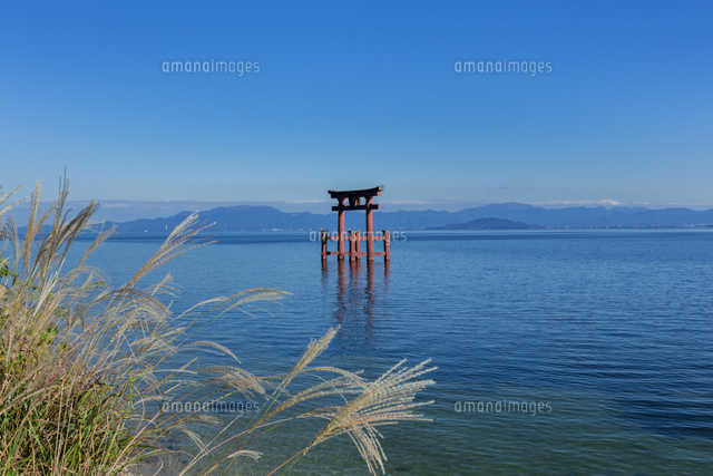 ススキと白鬚神社
(c)NOBUAKI SUMIDA/SEBUN PHOTO