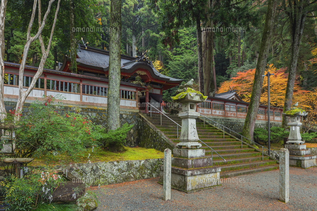 秋の御形神社
(c)NOBUAKI SUMIDA/SEBUN PHOTO
