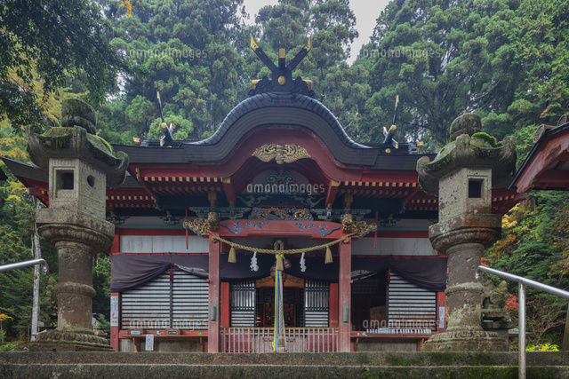 秋の御形神社
(c)NOBUAKI SUMIDA/SEBUN PHOTO