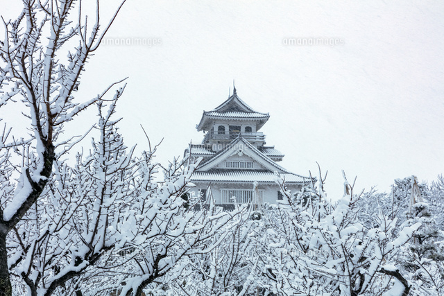 雪の長浜城
(c)NOBUAKI SUMIDA/SEBUN PHOTO