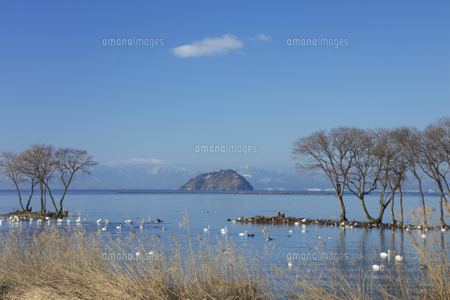 白鳥のいる風景
(c)NOBUAKI SUMIDA/SEBUN PHOTO