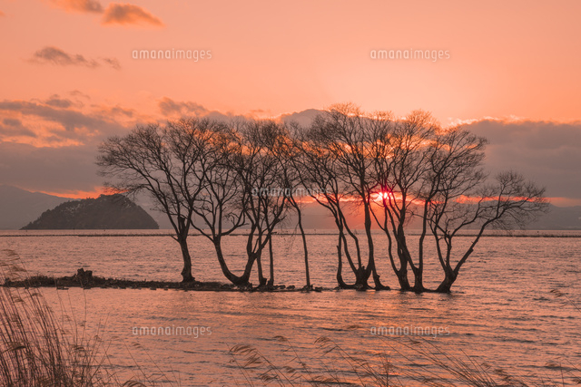 琵琶湖の夕日
(c)NOBUAKI SUMIDA/SEBUN PHOTO