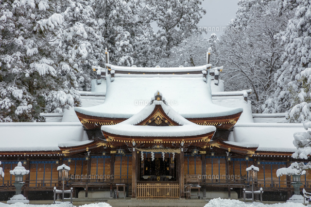 雪の多賀大社
(c)NOBUAKI SUMIDA/SEBUN PHOTO