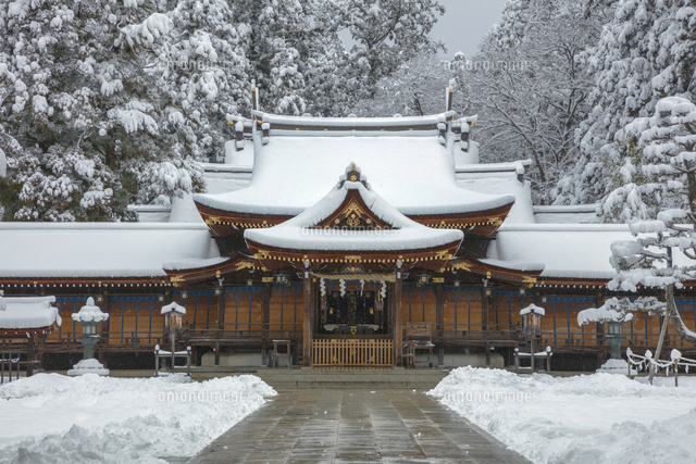 雪の多賀大社
(c)NOBUAKI SUMIDA/SEBUN PHOTO