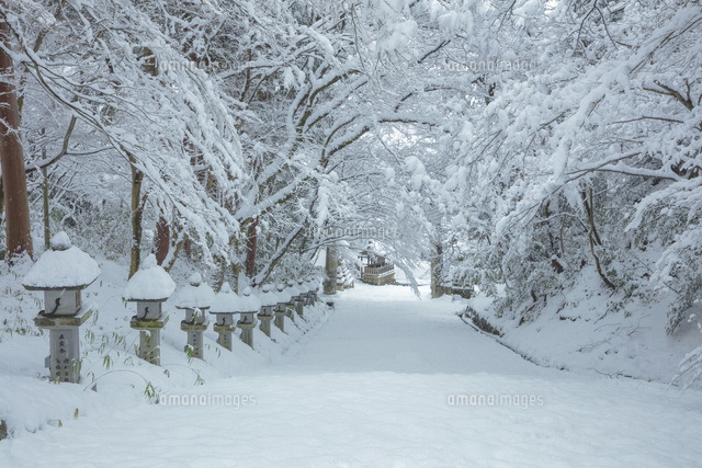 雪の胡宮神社
(c)NOBUAKI SUMIDA/SEBUN PHOTO
