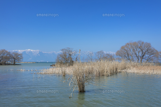 雪の比良山と琵琶湖
(c)NOBUAKI SUMIDA/SEBUN PHOTO