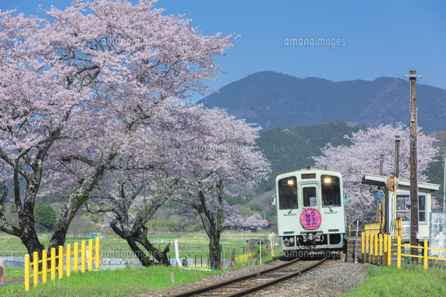桜咲く木知原駅と電車
(c)NOBUAKI SUMIDA/SEBUN PHOTO